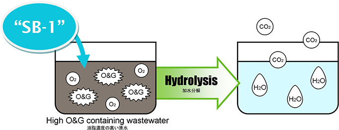 Hydrolysis of High O&G by Microbe Lipase “SB-1”